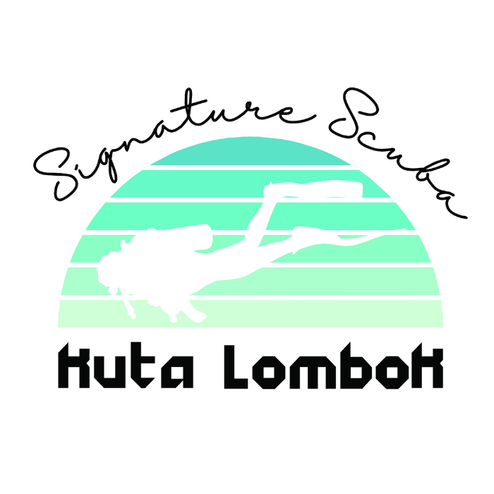 Best Dive Shop at Kuta Lombok